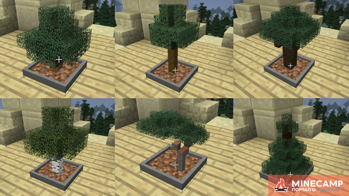 Bonsai Trees - мод на мини-деревья для Minecraft 1.12.2